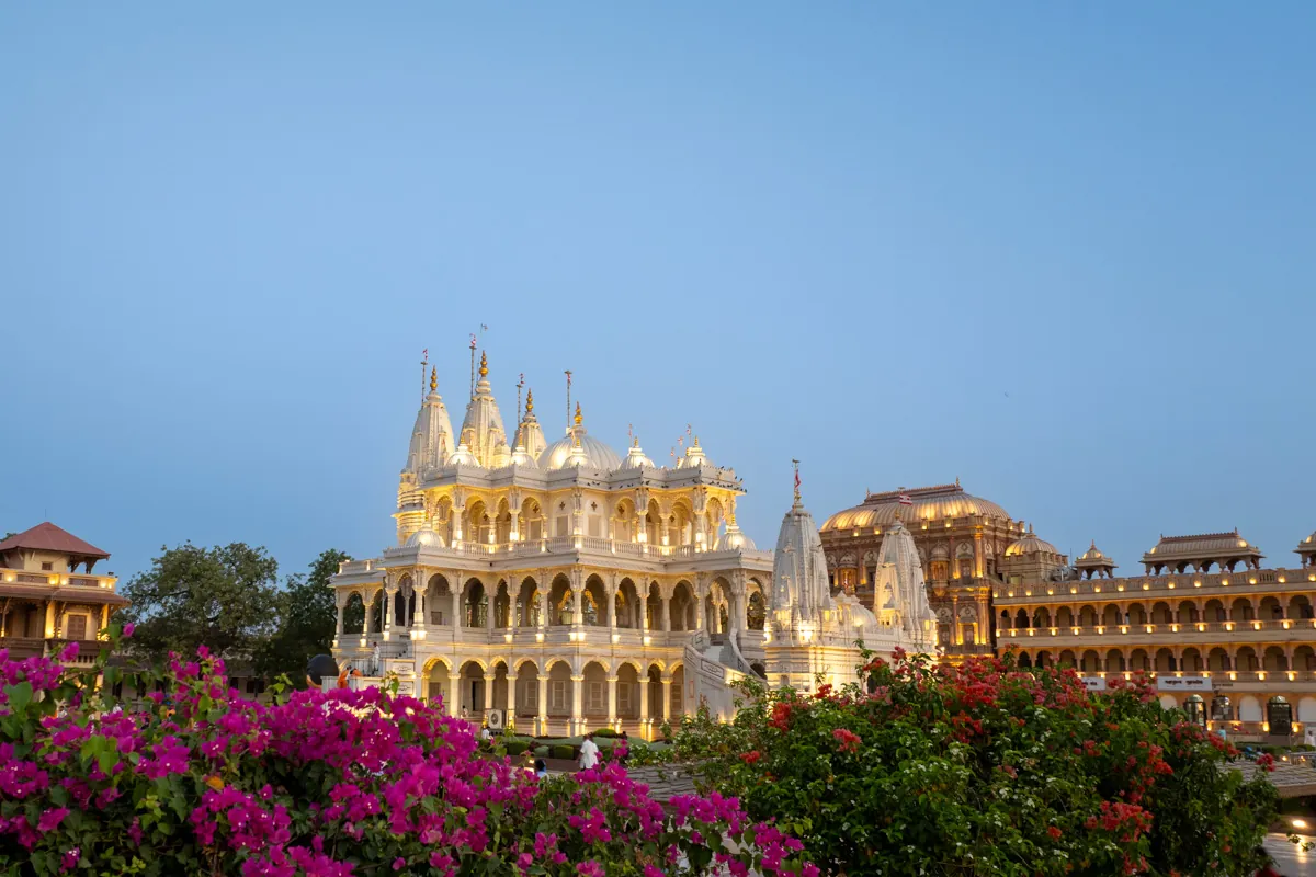 The lit mandir behind flowering bougainvillea